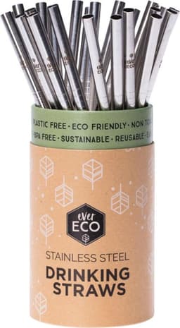 Ever Eco Stainless Streel Straight Straw Single