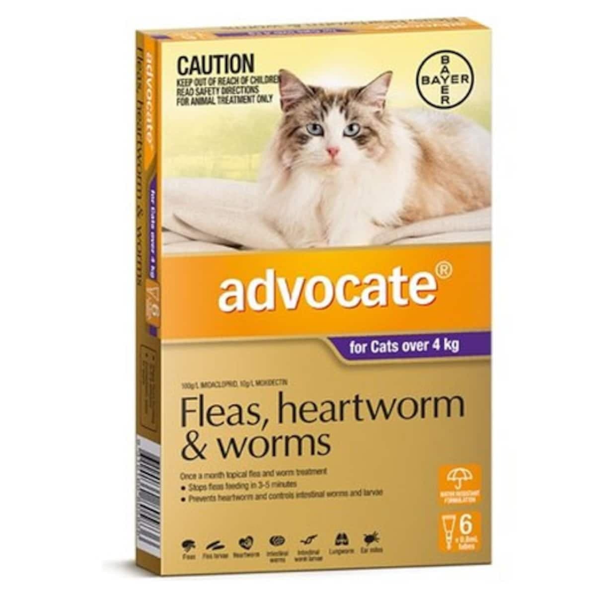 Advocate For Large Cats Over 4Kg Purple 6 Pack