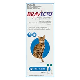 Bravecto Spot-On Cat Blue 2.8 - 6.25Kg 250Mg 2 Pack