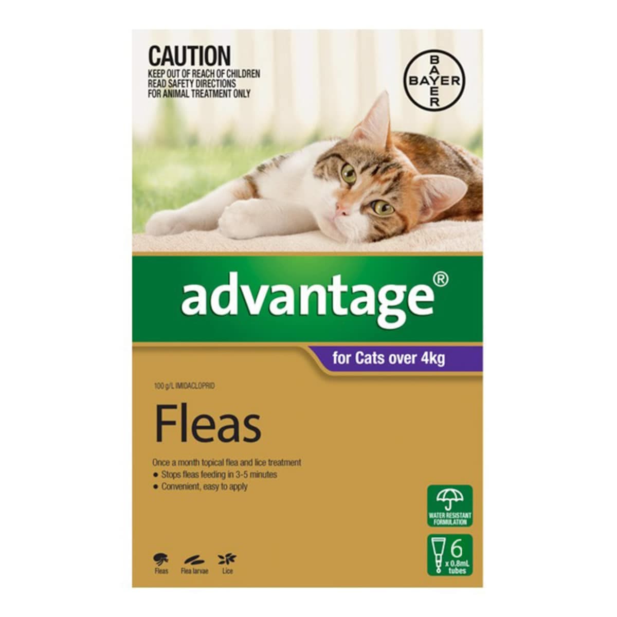 Advantage Large Cats Over 4Kg 6 Pack (Purple)