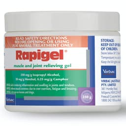 Rapigel Muscle & Joint Relieving Gel Jar 250G