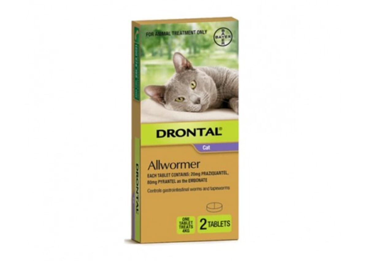 Drontal Allwormer Cat 2 Tablets