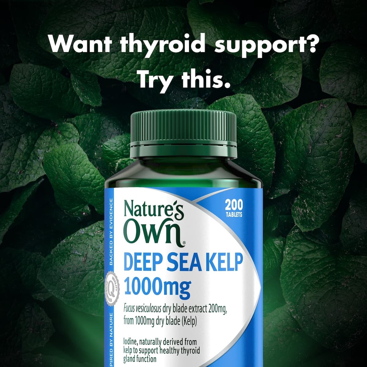 Thumbnail Natures Own Kelp 1000Mg 200 Tablets