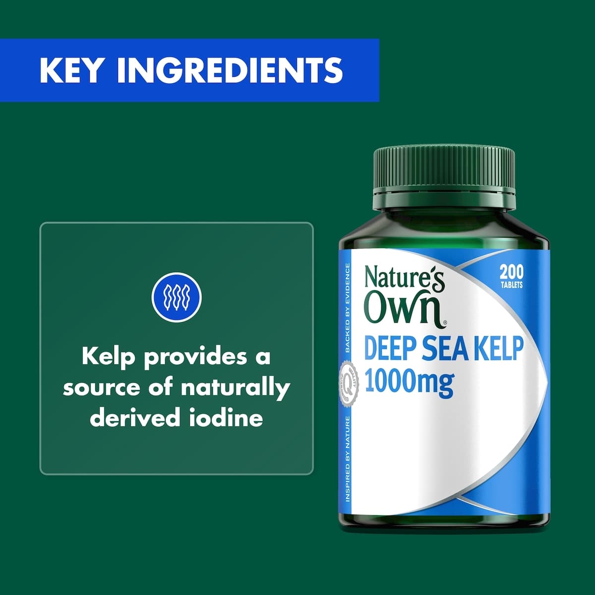 Thumbnail Natures Own Kelp 1000Mg 200 Tablets