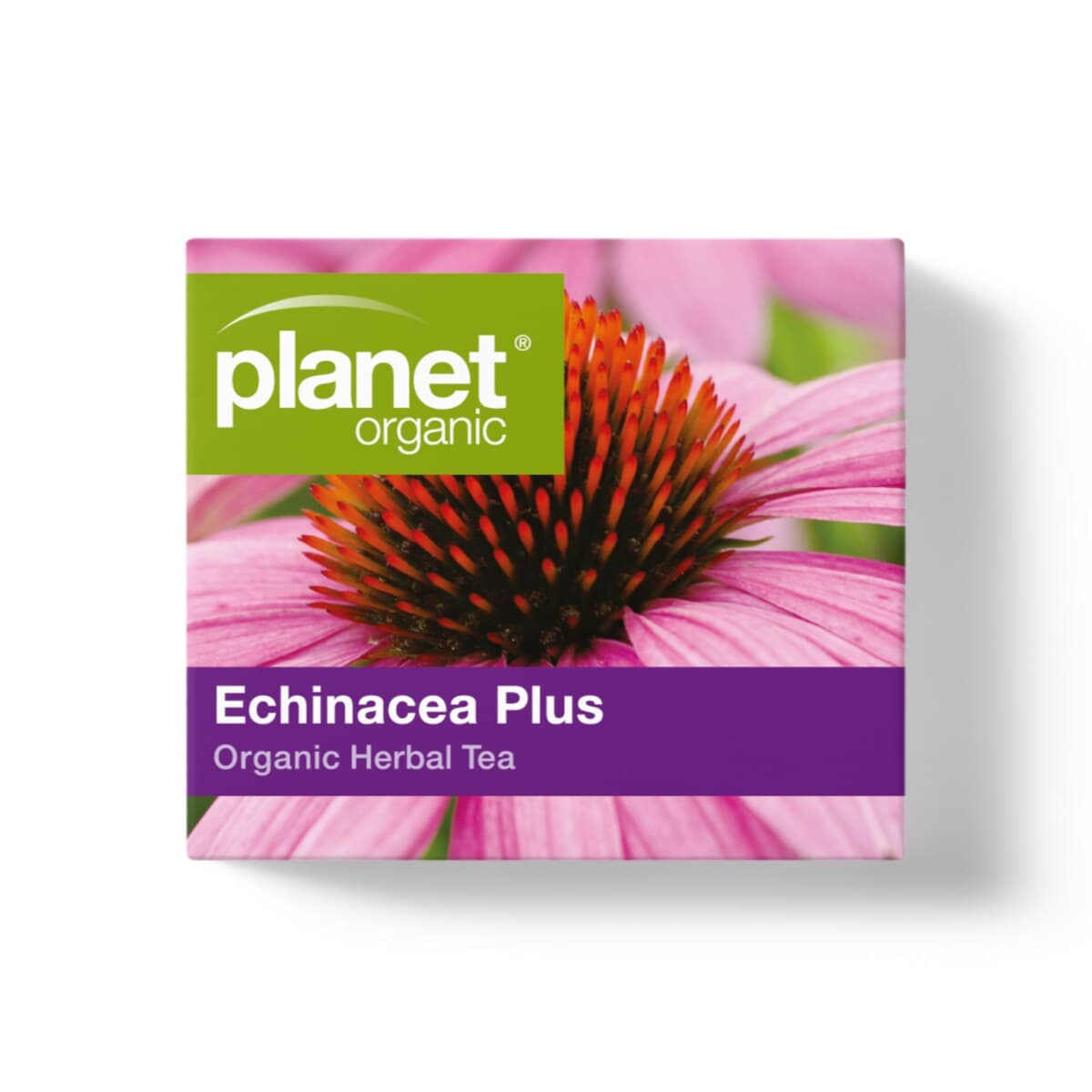 Thumbnail Planet Organic Echinacea Plus Tea 25 Tea Bags