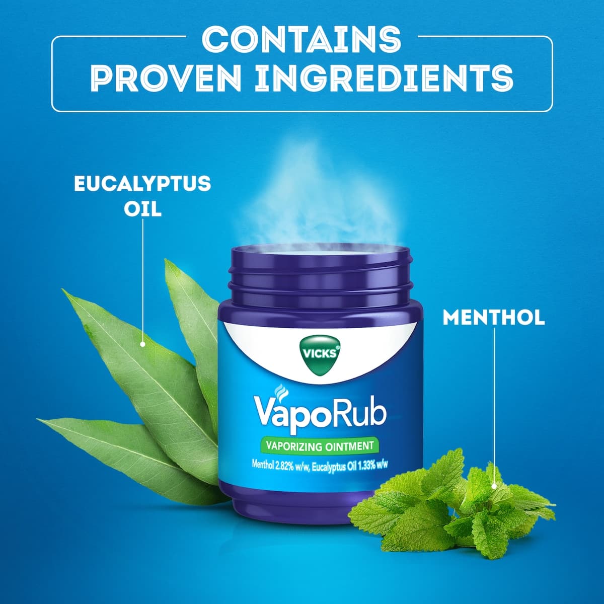 Thumbnail Vicks Vaporub Vaporizing Ointment 100G