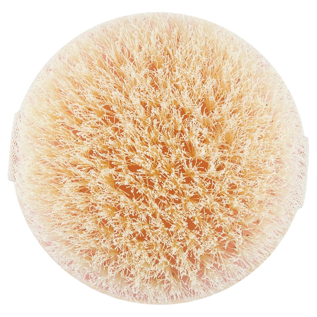 Thumbnail Ecotools Dry Body Brush