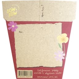 Sow 'N Sow Gift Of Seeds Christmas Wildflowers