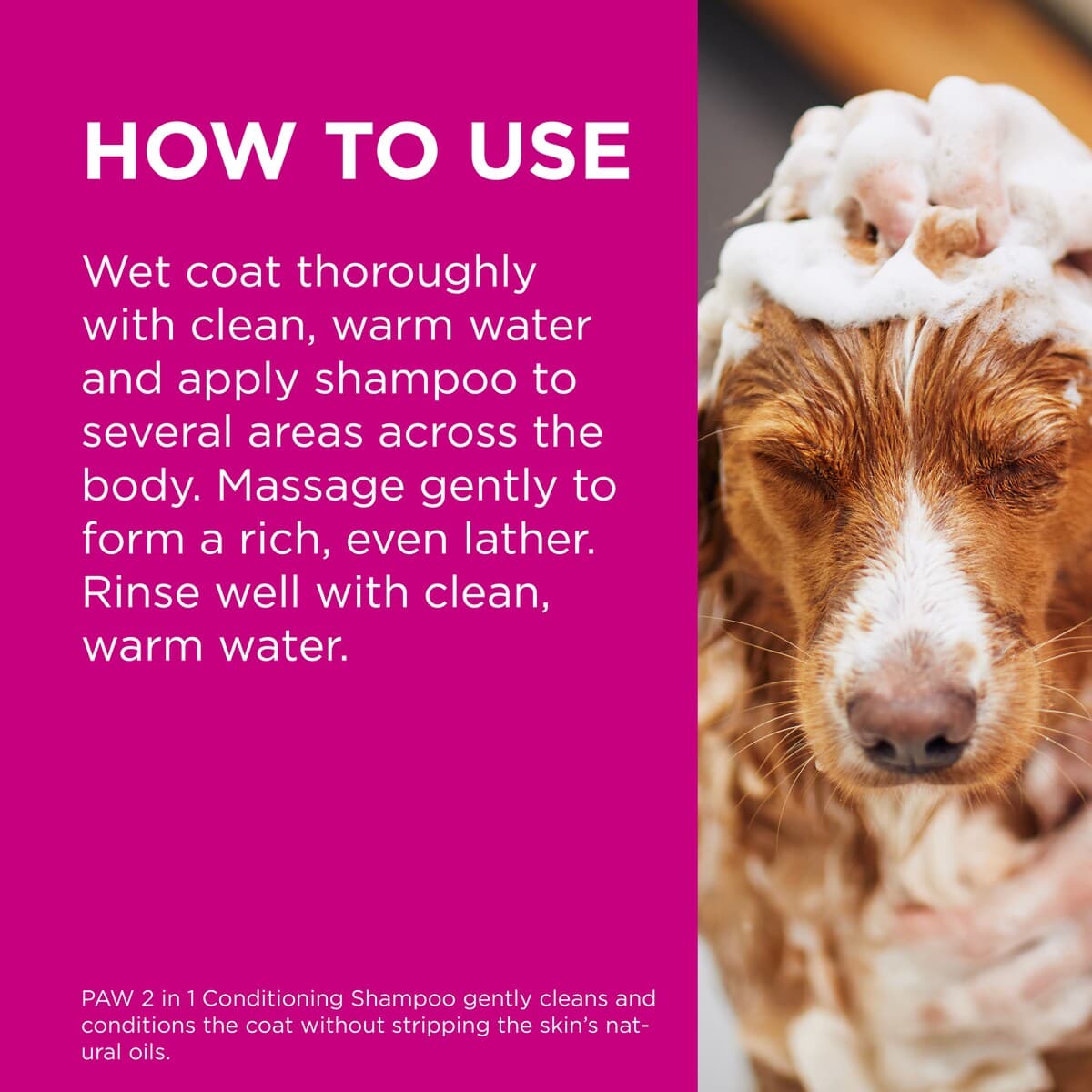 Thumbnail Blackmores Paw 2In1 Conditioning Shampoo 500Ml