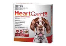 Heartgard Plus Chews For Large Dogs 23-45Kg Brown 6 Chewables