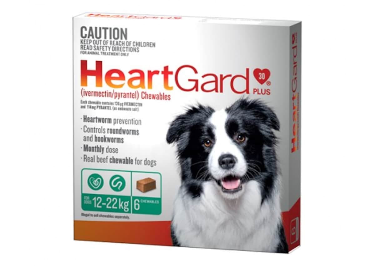 Heartgard Plus Chews For Medium Dogs 12-22Kg Green 6 Chewables