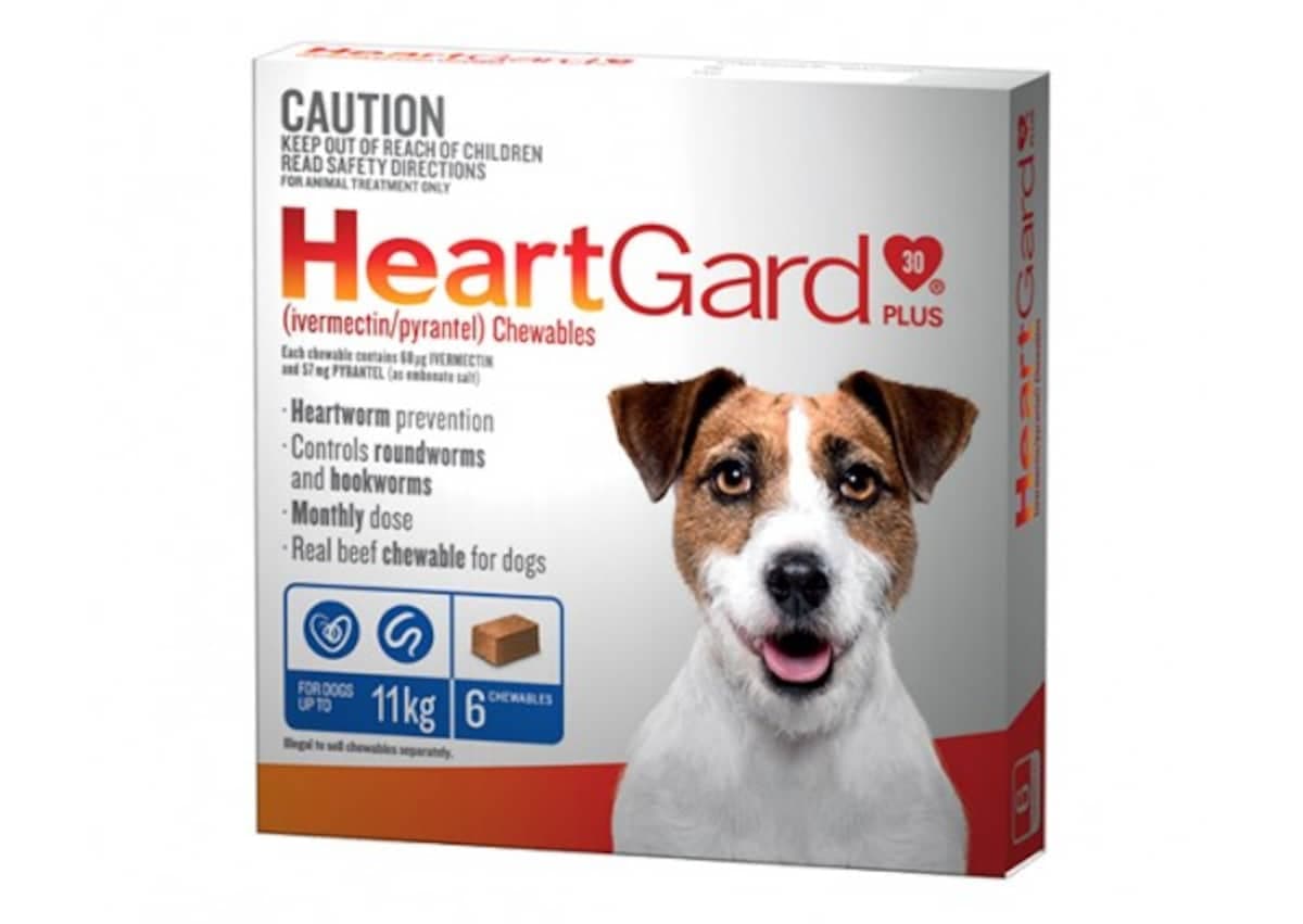 Heartgard Plus Chews For Small Dogs Up To 11Kg Blue 6 Chewables