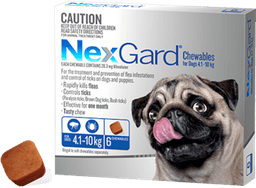 Nexgard Chewables For Small Dogs 4.1-10Kg 6 Pack