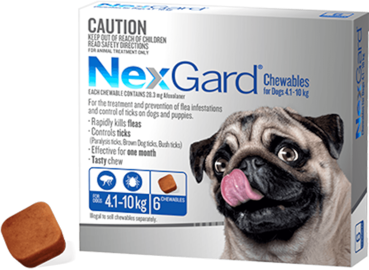 Nexgard Chewables For Small Dogs 4.1-10Kg 6 Pack